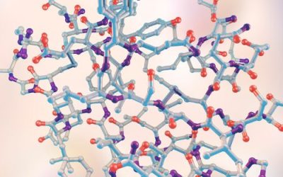 La résistance à la leptine, la nouvelle résistance à l’insuline ?