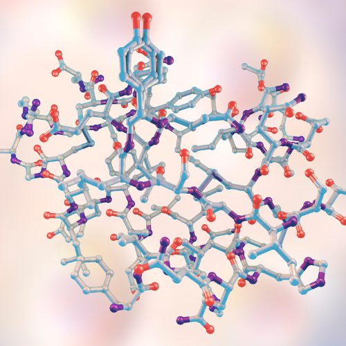 La résistance à la leptine, la nouvelle résistance à l’insuline ?