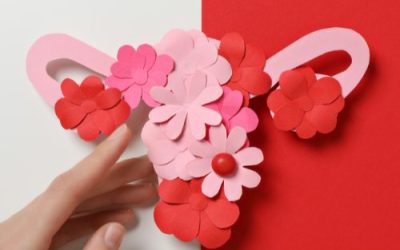 SOPK et l&rsquo;inflammation