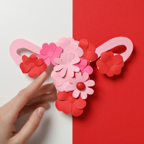 SOPK et l&rsquo;inflammation