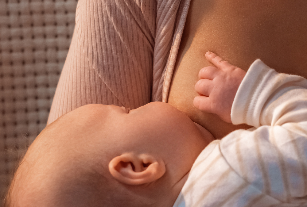 L&rsquo;importance de l&rsquo;allaitement